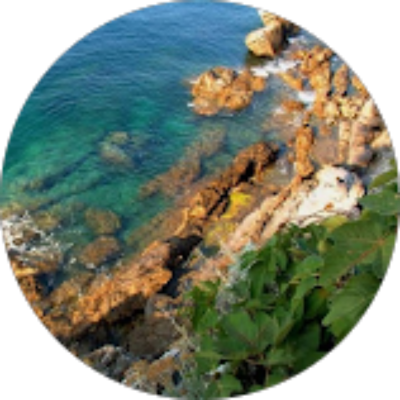 Luiz Gustavo Del Maestro